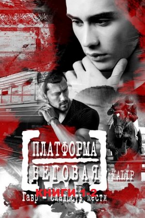 Постер к Ка Liр. Платформа Беговая. Сборник книг