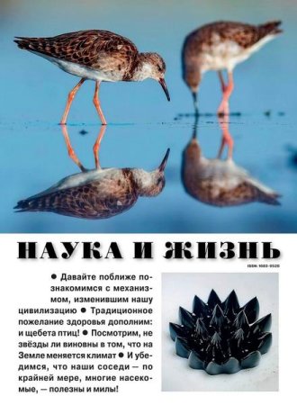 Постер к Наука и жизнь №5-8 (май-август 2025)
